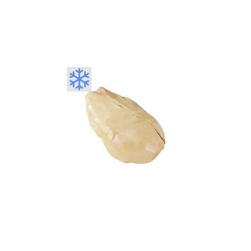 Gänseleber gemästet