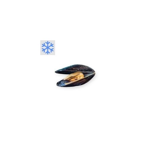 Blaue Muscheln in Schale 50/80