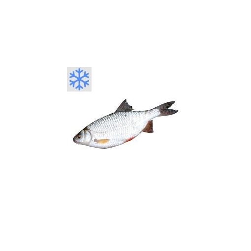 Karpfen ganz 10% Glasur 400-600 g/Stk
