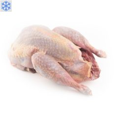 Fácán